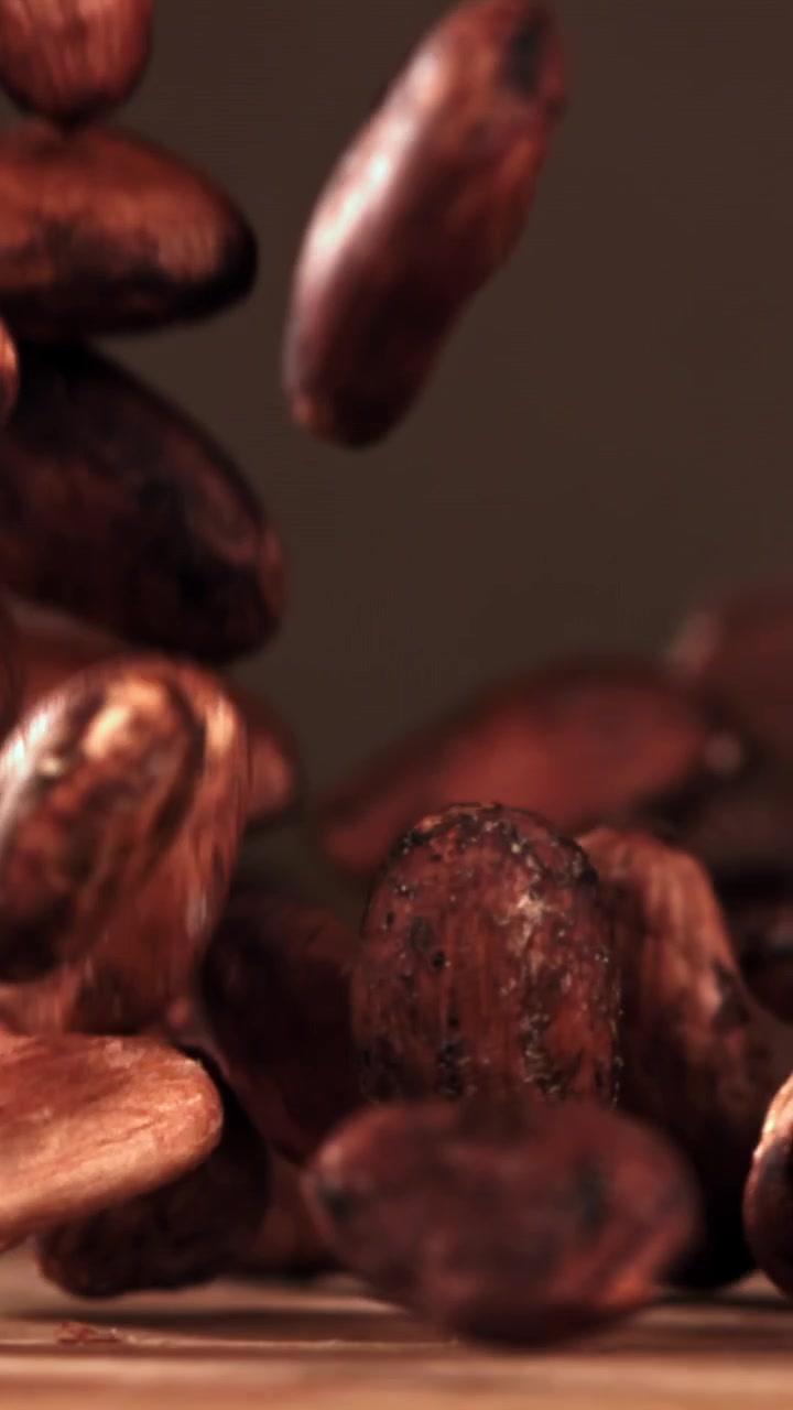 Raw Cocoa Beans Falling in Slow Motion
