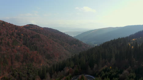 Aerial-rise-over-hairpin-turn-through-autumn-forest,-Nyerges-Teto,-Romania