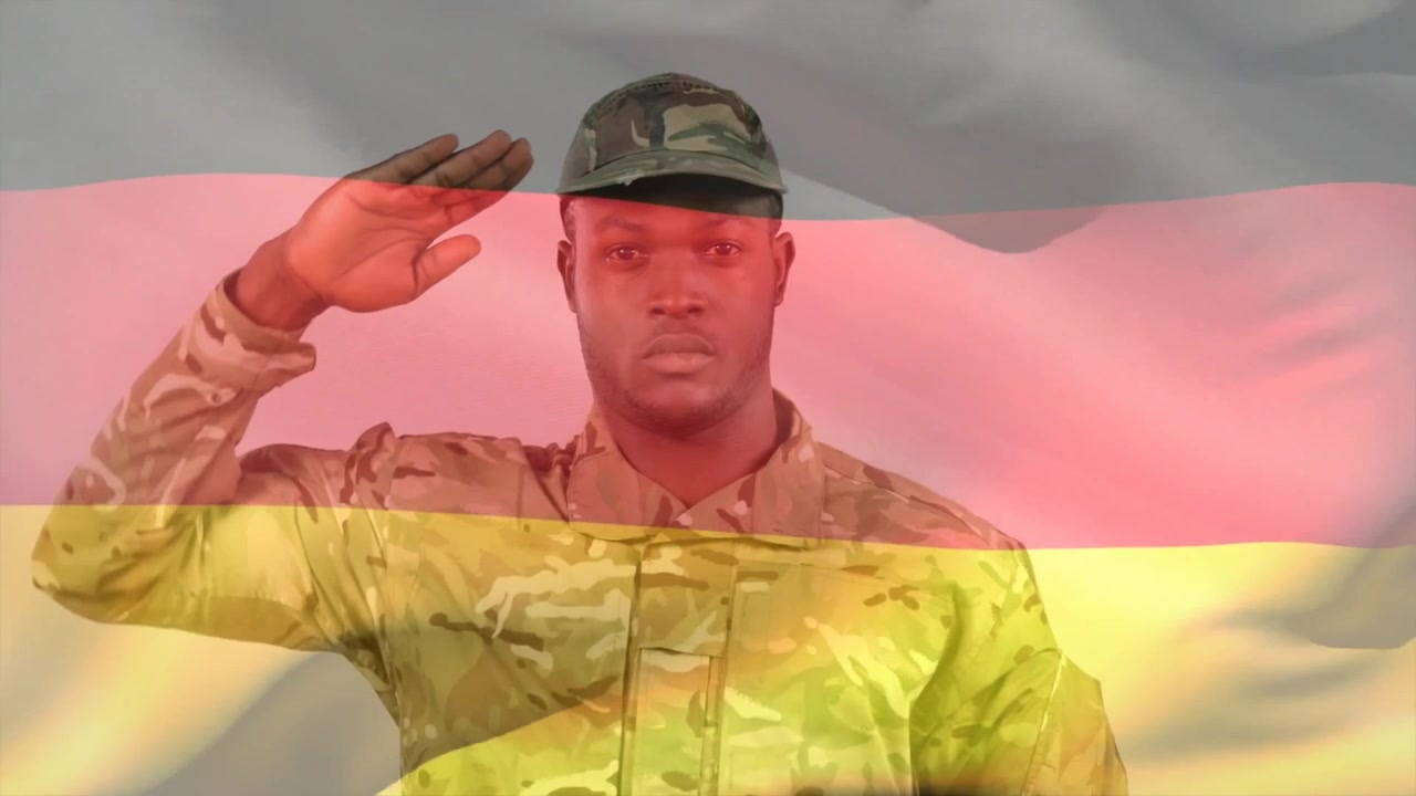 Soldat i camouflageuniform saluterer mod vajende tysk flag