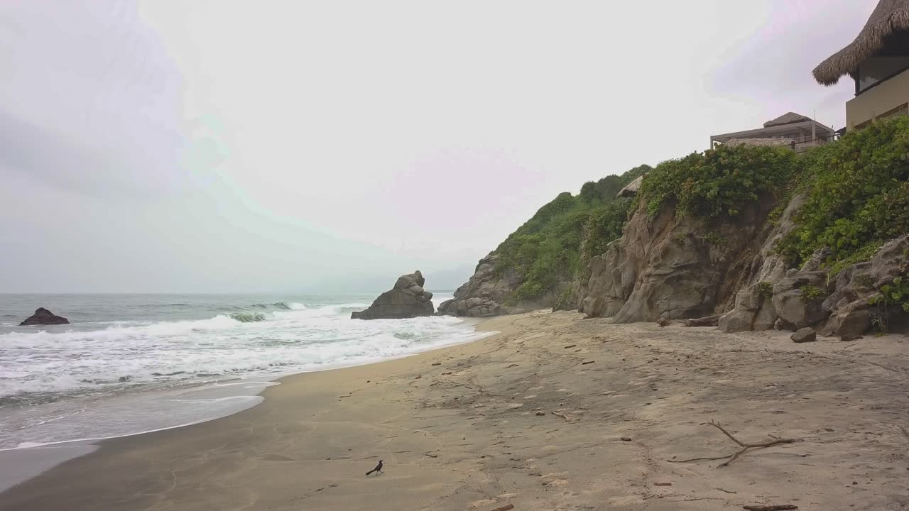 Rekaman drone rendah yang indah dari sebuah pantai dengan seekor burung kecil di taman nasional Tayrona di Kolombia.
