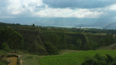 sobrevuelo aéreo de drones de campos y valles de terrazas de arroz en la isla de samosir en el lago toba en el norte de sumatra, indonesia