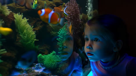 young child mesmerized by colorful fish in an aquarium