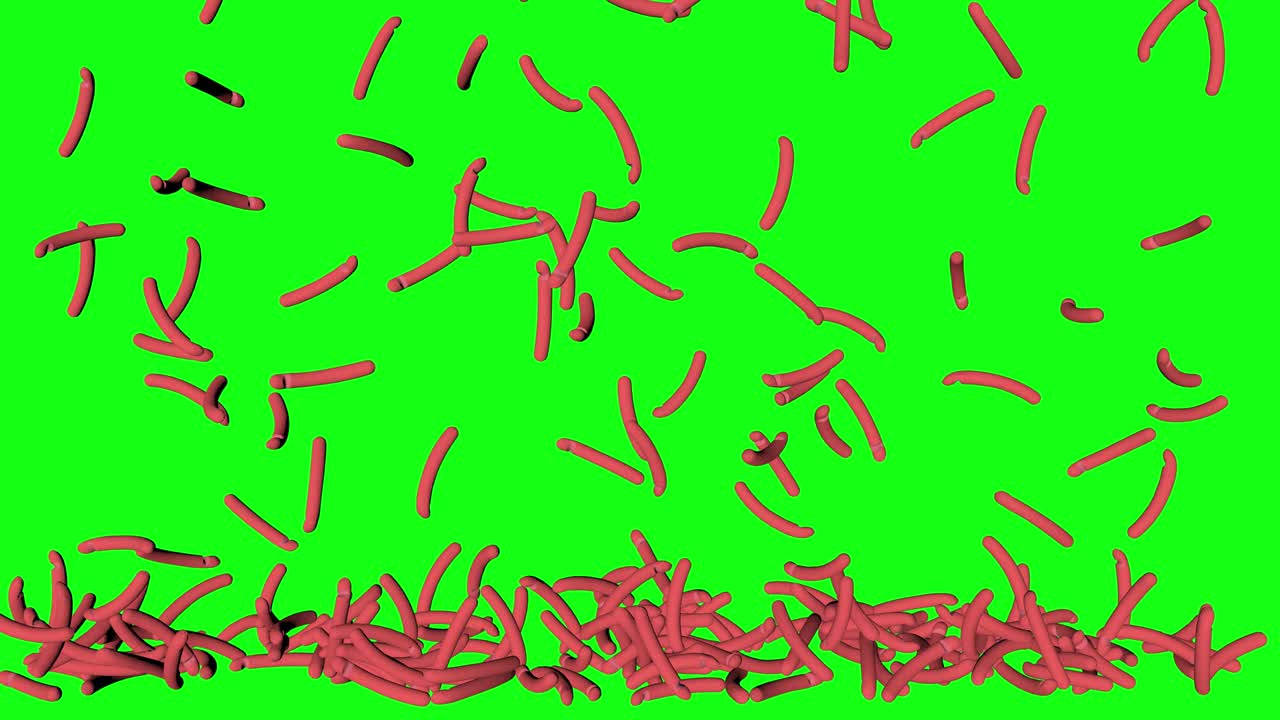 зеленый экран сырая колбаса хот-дог падающий пол сложенная анимация хроматический ключ 3d