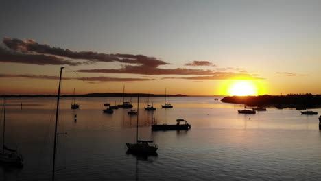 aerial marina bay port sunset sailing boat drone 4k