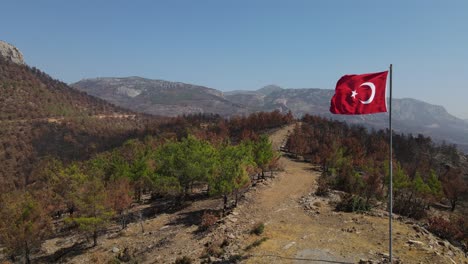 Bandera-Turca-En-La-Colina