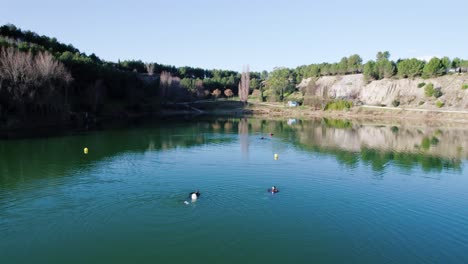 Zwei-Taucher-Schwimmen-Mitten-Im-Winter-In-Einem-See-Im-Süden-Frankreichs-Auf-Den-Dritten-Taucher-Zu