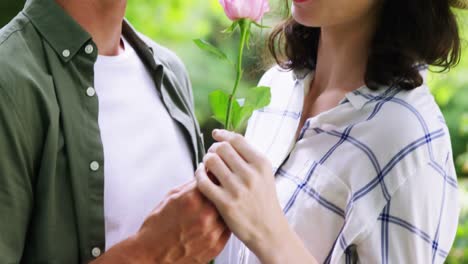 romantic couple smelling rose in garden