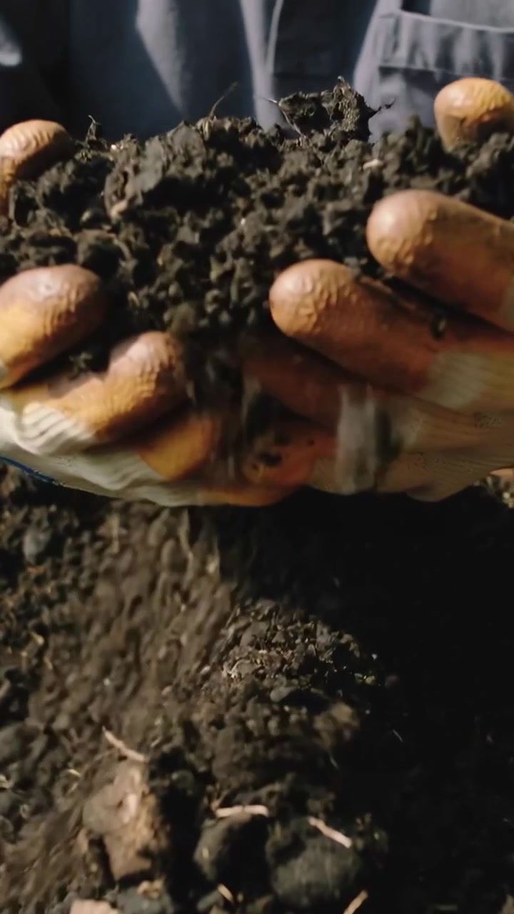 Video verticale: Mani guantate che premono il compost in una fioriera, una persona ispeziona e prepara il terreno