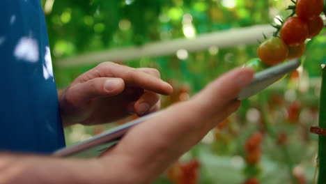 Greenhouse-specialist-closeup-researching-plants-with-tablet-on-plantation