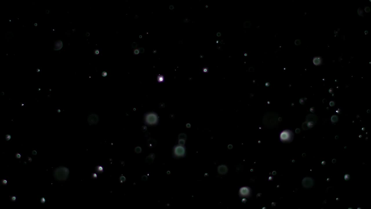 neve al rallentatore su sfondo nero