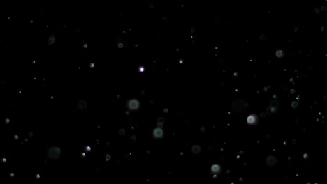 nieve en cámara lenta sobre un fondo negro