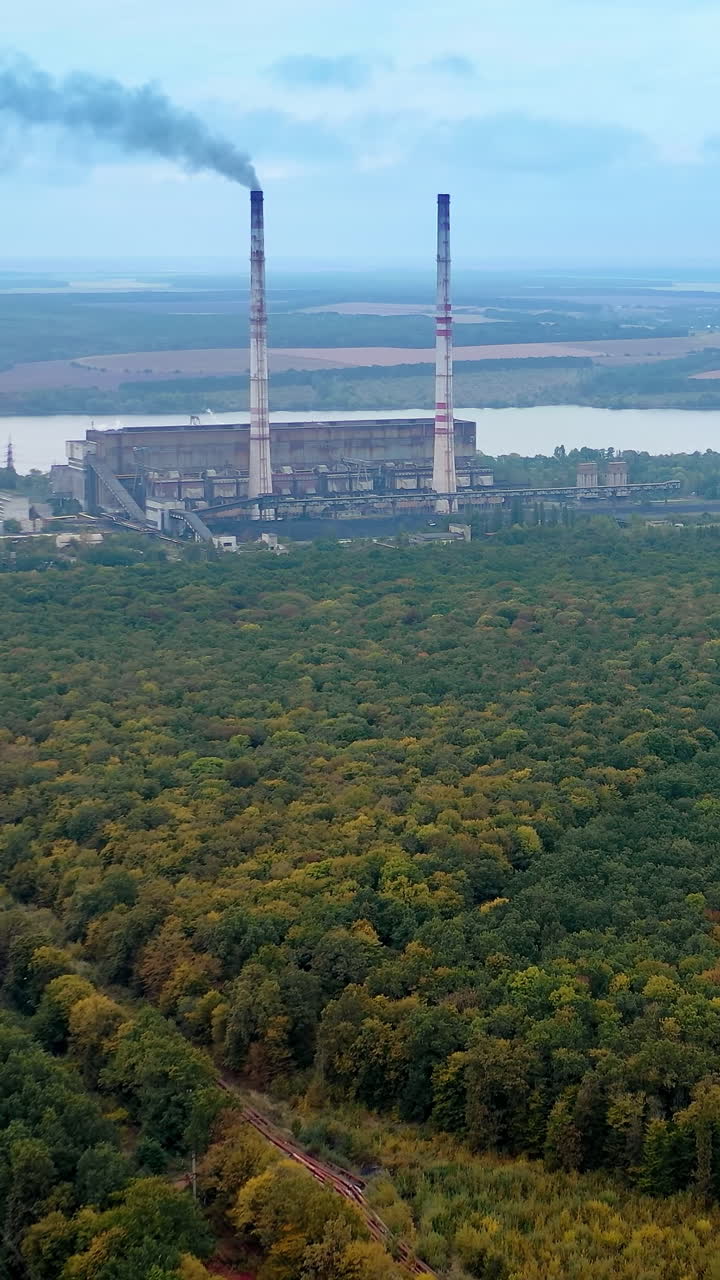 Summer natural beatiful green trees. Aerial view huge green forrest fields. Vertical video