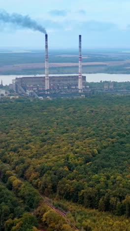 summer natural beatiful green trees. aerial view huge green forrest fields. vertical video