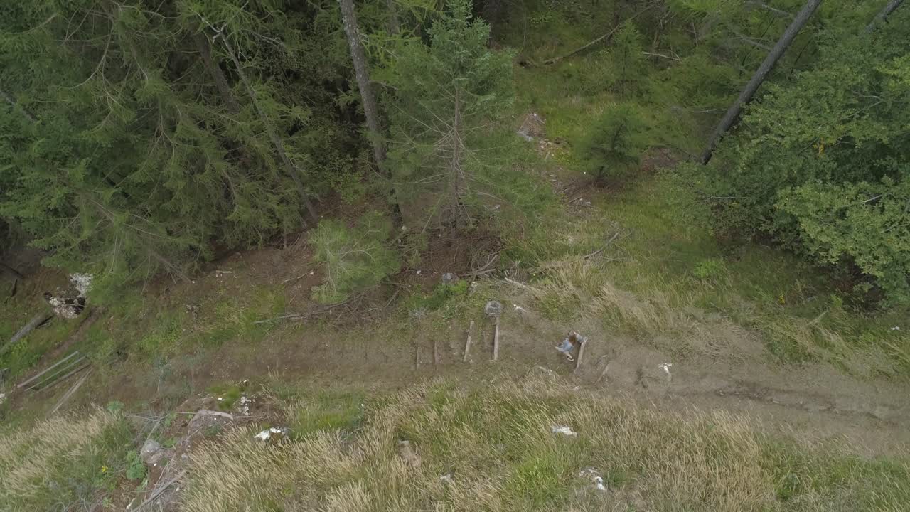 antena siguiendo a una joven mujer rubia caminando por los escalones de un bosque durante el verano