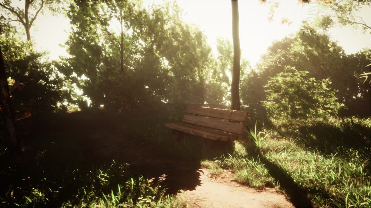 빛이 비치는 숲 속 의 조용 한 벤치