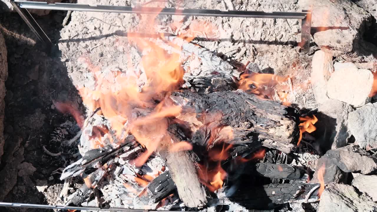 View from above at the burning tree in a large fire, preparing coals for barbecue