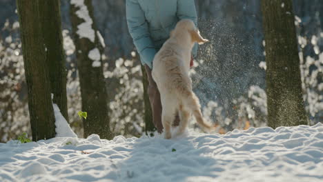 woman running in the snow with her dog, having a good time on a walk in the winter forest