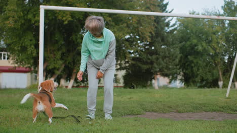 canine behaviourist with energetic joyful smile performing leg exercise on grassy field while excited bulldog jumps playfully near goal post surrounded by lush trees and school building