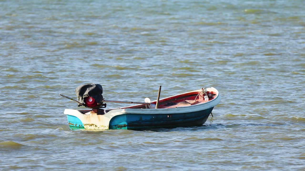 개 한 마리가 작은 배에서 휴식을 취하고 있다.