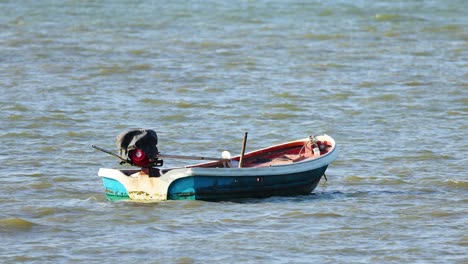 un perro se relaja en un pequeño barco