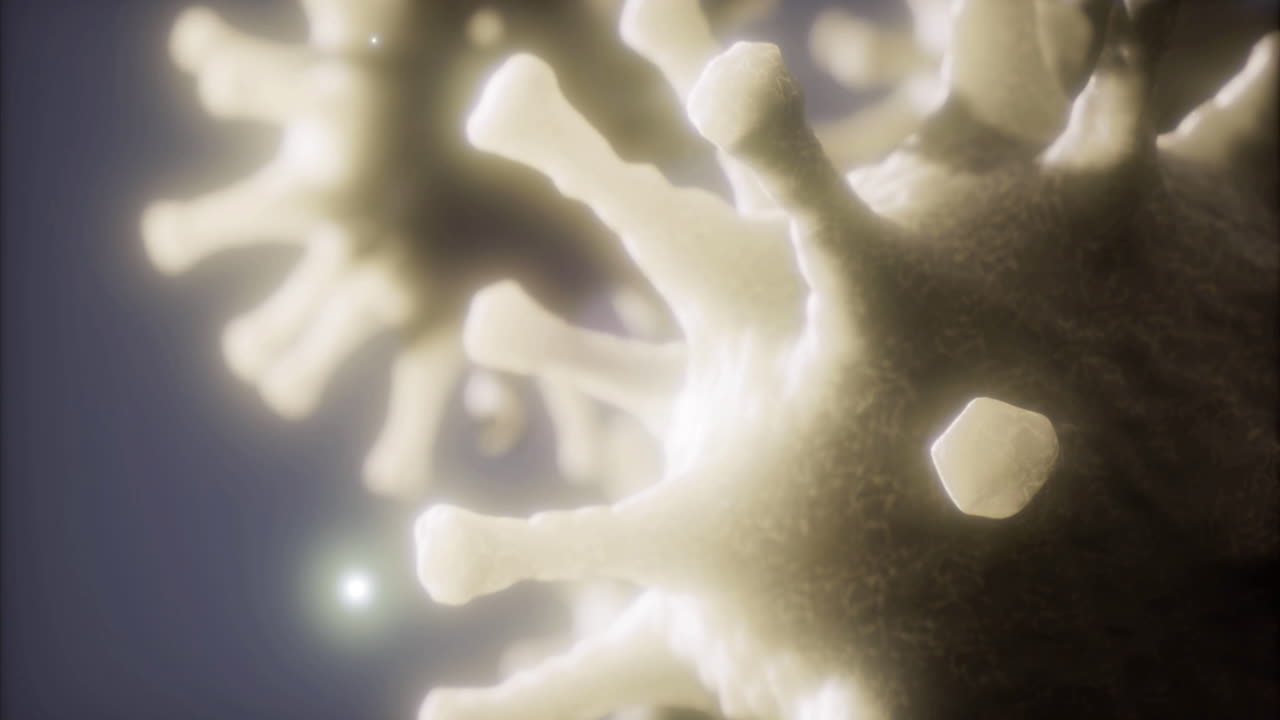 Intricate details of a microscopic structure illuminated by light in study