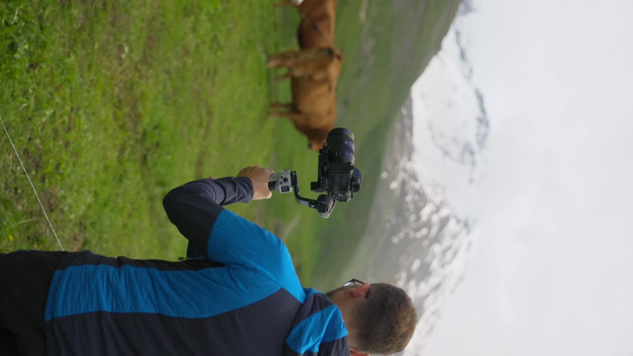 A videographer captures stunning outdoor footage of cows grazing in the mountains using a stabilized camera on a gimbal, set against a backdrop of lush greenery and snow-capped peaks