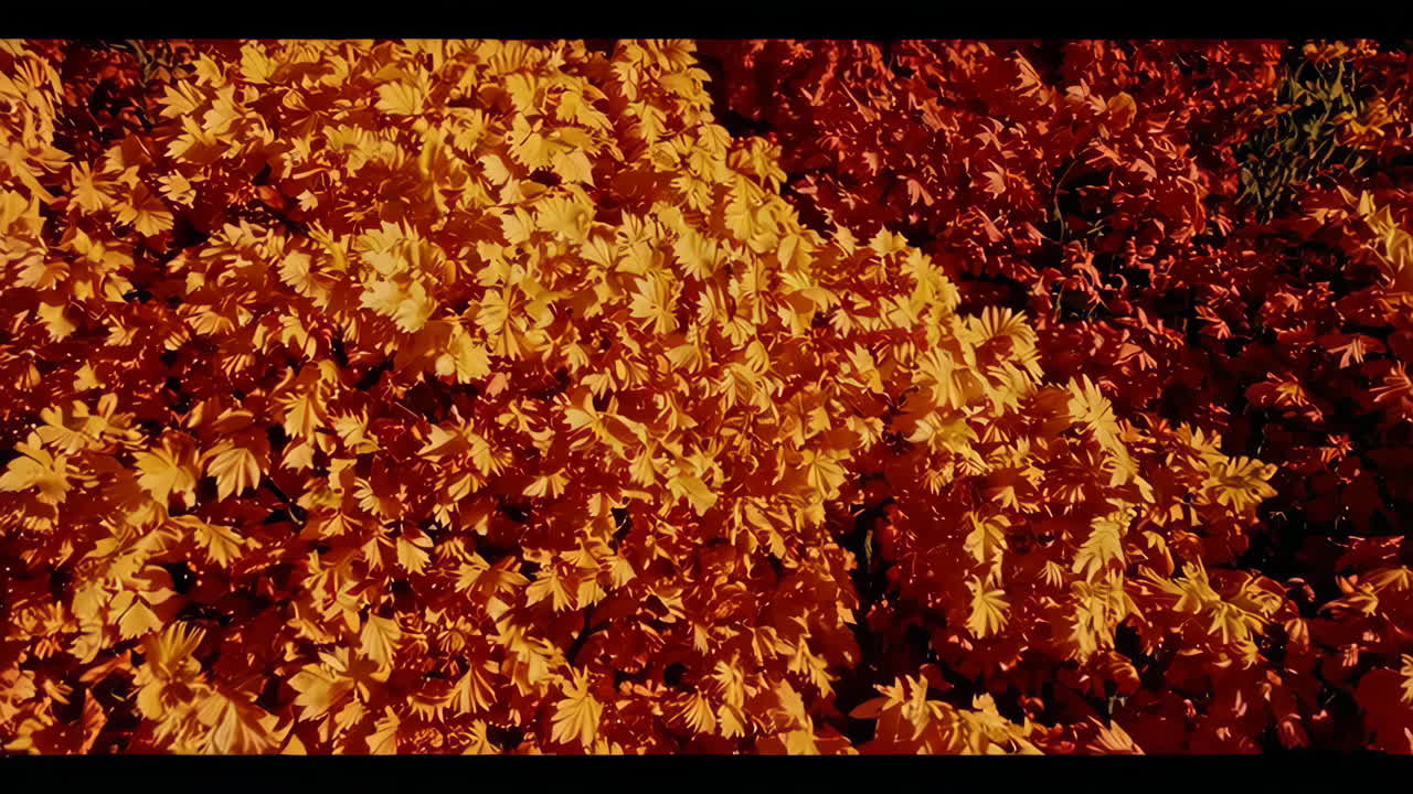 Dark Red Texture and Snowy Mountain Landscape