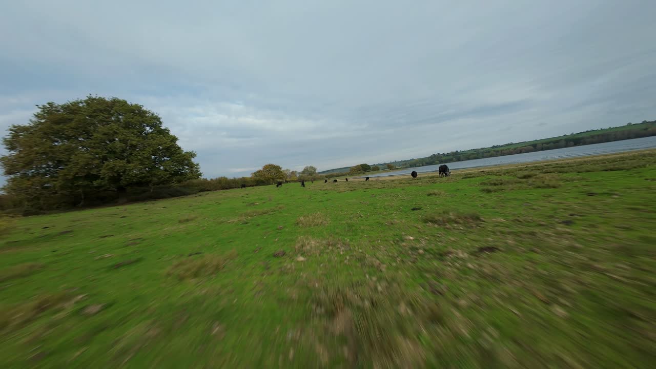 Vidéo cinématique FPV réalisée avec un drone, survolant à basse altitude le réservoir de Brooke à Rutland, avec des zones humides, des arbres sur le rivage et une station de pompage illuminés par la lumière du coucher de soleil vespéral