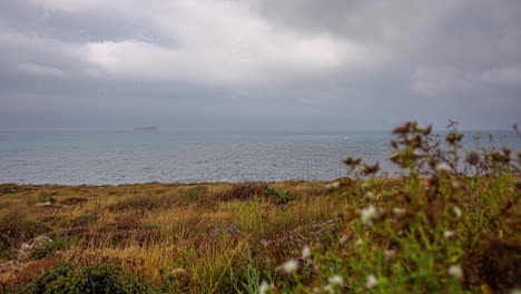 timelapse shot of dry grass swaying in the wind along the sea shore on a cloudy evening