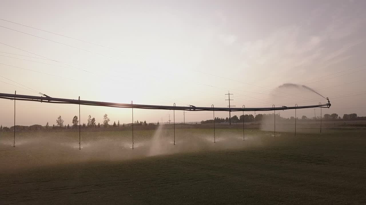 백라이트 센터 피벗 관개 물 일몰 근처 녹색 작물