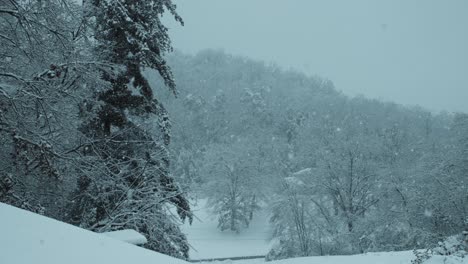 Tormenta-De-Invierno-Con-Fuertes-Nevadas-En-Las-Colinas