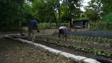 los agricultores tienden a un jardín