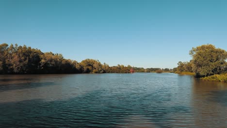 serene river landscape with lush greenery and a swan