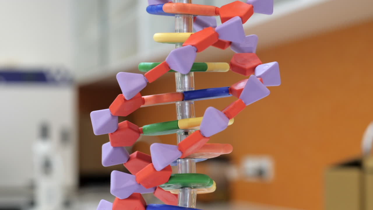 modelo de material didáctico de adn de doble hélice en un aula de ciencias, primer plano