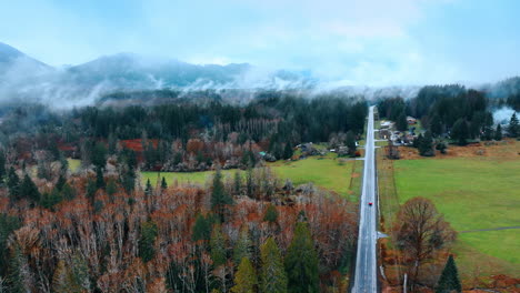 Beautiful scenery of valley and road passing through the pine tree woods. Mist covering the tree tops in the forest and mountains in the Mount Rainier National park in Washington State , the USA.
