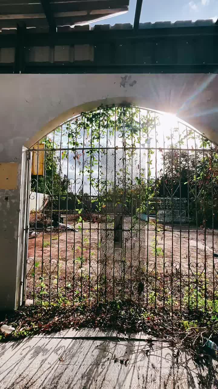 Abandoned Court with overgrown gate