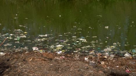 plastic bottles and bags pollution in the pond 01