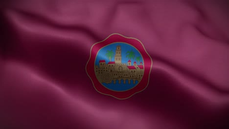 cordoba spain flag loop background 4k