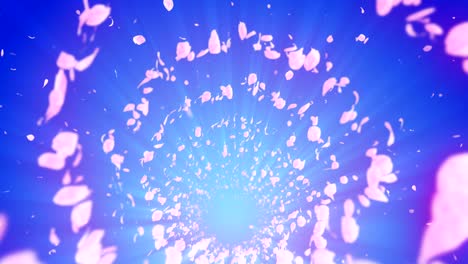 spiral shiny particle of cherry blossoms. sakura pattern. japanese cherry dancing. vortex from pink petals. abstract loop animation.