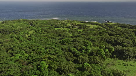 maui hawaii aerial v48 drone flyover haleakala national park towards kipahulu visitor center capturing dense lush tropical vegetations and pacific ocean views - shot with mavic 3 cine - december 2022