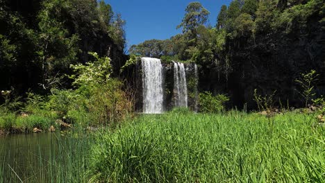 Establecimiento-De-Tiro-De-Dangar-Falls-En-Dorrigo,-Nueva-Gales-Del-Sur,-Australia-2