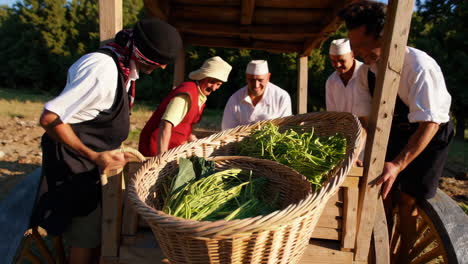 rural life and harvesting