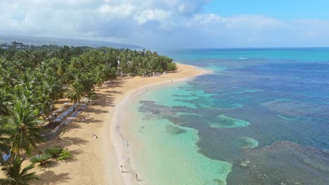 playa las ballenas, tropical paradise with lush green palm trees, soft golden sand, vibrant blue caribbean sea, for tourism promotions projects, las terrenas in dominican republic. aerial forward