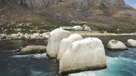 uccelli appollaiati sulle rocce