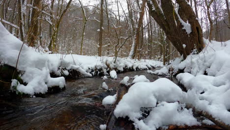 winter nature scenery with water stream and trees covered in snow