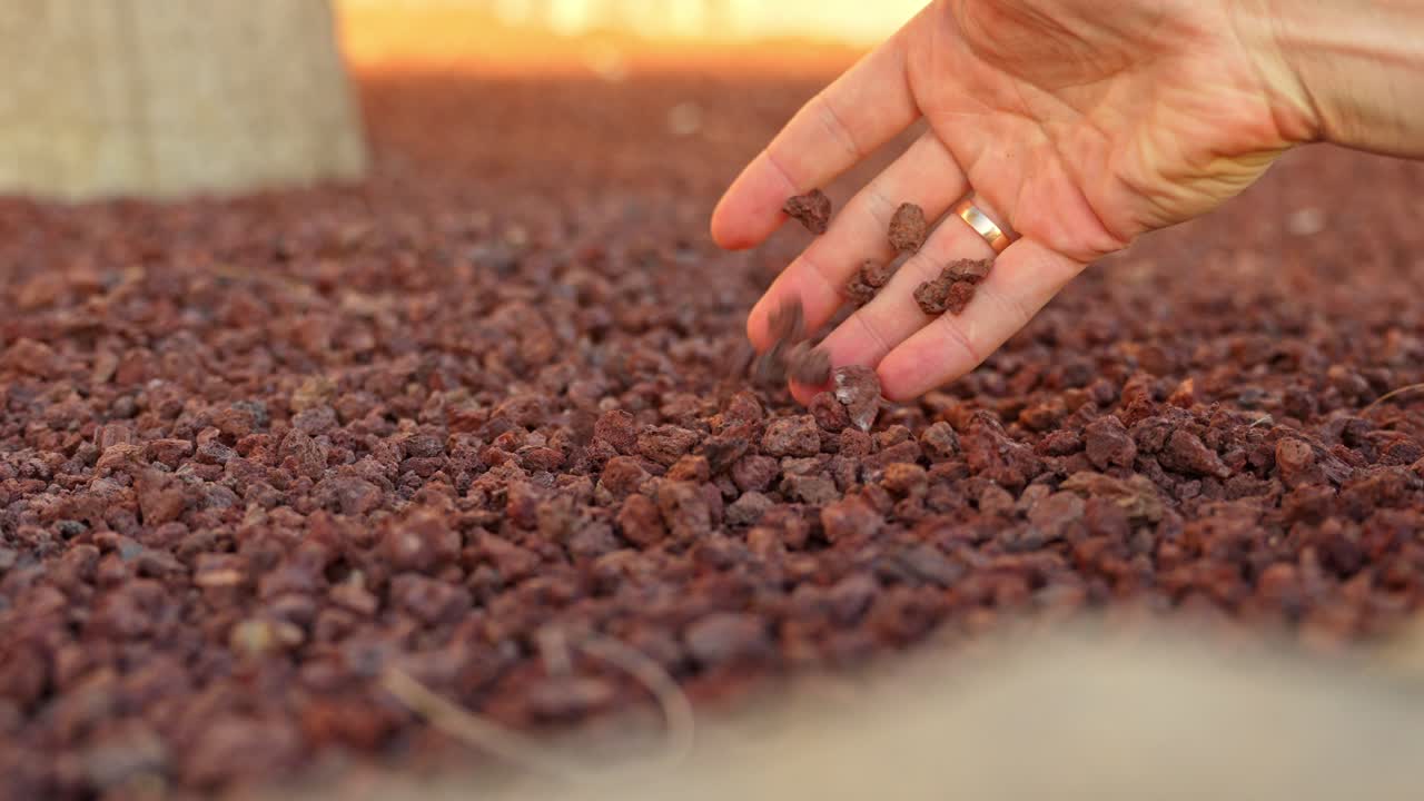 Reddish-brown volcanic stone mulch slowly falling from male hand