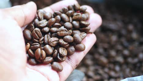 close-up of a handful of roasted coffee beans