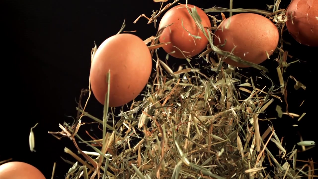 Brown Eggs and Hay Exploding in Super Slow Motion