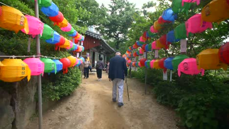 old man walking along colourful pathway