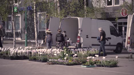 wide shot of people buying fresh flowers from street market in tromso during sunny day.